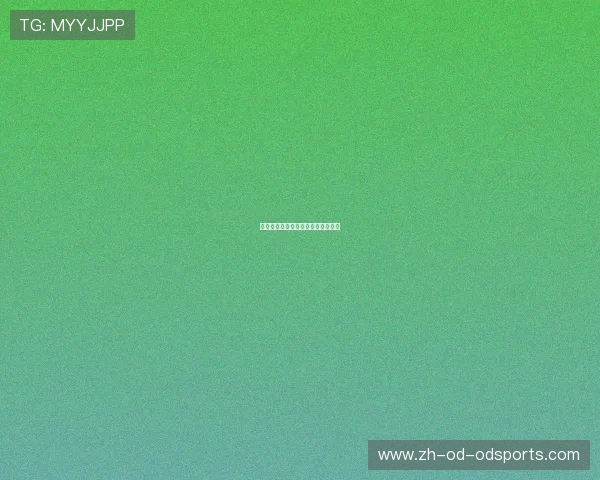 篮球明星签名鞋款全系列评测与推荐